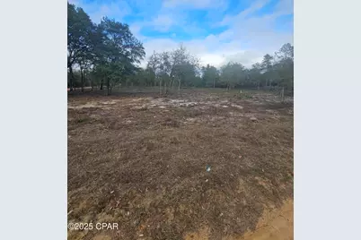 10433 Western Road, Fountain, FL 32438 - Photo 9