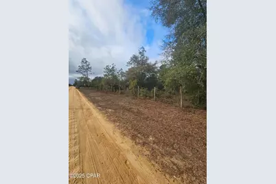 10433 Western Road, Fountain, FL 32438 - Photo 5