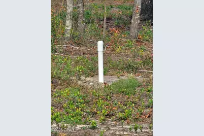 10433 Western Road, Fountain, FL 32438 - Photo 3