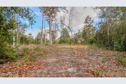 12299 Nonawood Road, Fountain, FL 32438 - Photo 9