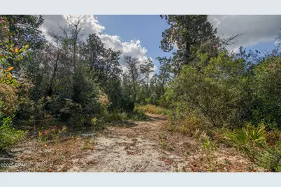 Xxx Hurst Rd    35 2N 12W, Fountain, FL 32438 - Photo 27