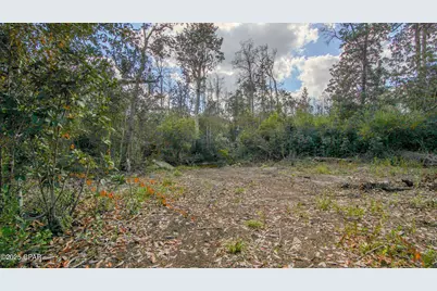 Xxx Hurst Rd    35 2N 12W, Fountain, FL 32438 - Photo 19
