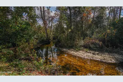 Xxx Hurst Rd    35 2N 12W, Fountain, FL 32438 - Photo 15