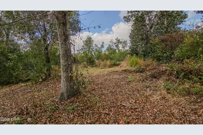 Xxx Hurst Rd    35 2N 12W, Fountain, FL 32438 - Photo 17