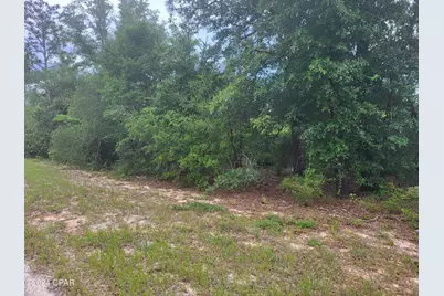 00 Cherry Circle, Marianna, FL 32448 - Photo 1
