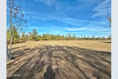 21382 NW Paradise Lane, Altha, FL 32421 - Photo 41