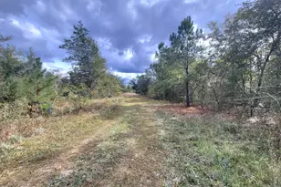 00 Sandridge Church Rd, Grand Ridge, FL 32442 - Photo 1