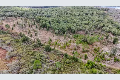 - Pine Log Road, Chipley, FL 32428 - Photo 3