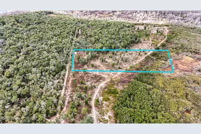 - Pine Log Road, Chipley, FL 32428 - Photo 1