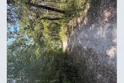 231 Via Largo #39B, Santa Rosa Beach, FL 32459 - Photo 49