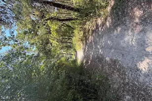 231 Via Largo, Santa Rosa Beach, FL 32459 - Photo 49