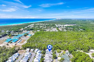 231 Via Largo, Santa Rosa Beach, FL 32459 - Photo 41