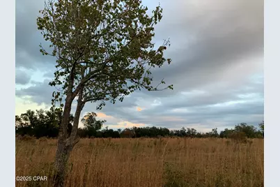 7010 Nobles Road, Grand Ridge, FL 32442 - Photo 1