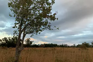 7010 Nobles Rd, Grand Ridge, FL 32442 - Photo 1