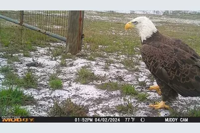 4958 Lake Ridge Drive, Chipley, FL 32428 - Photo 51