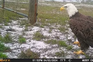 4958 Lake Ridge Dr, Chipley, FL 32428 - Photo 51