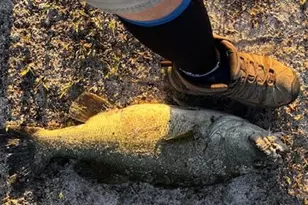 4958 Lake Ridge Dr, Chipley, FL 32428 - Photo 47