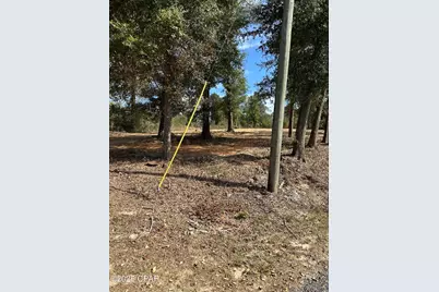 Lot 1 & 2 Lakeshore Drive, Alford, FL 32420 - Photo 9