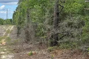 Tbd Pilgrim Rest Church Rd, Marianna, FL 32448 - Photo 1