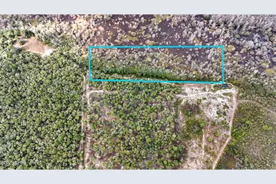 0 Pine Log Road, Chipley, FL 32428 - Photo 5