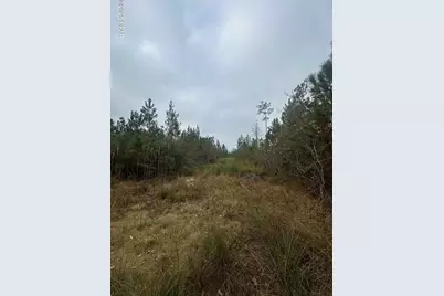 00 Fl-71, Blountstown, FL 32424 - Photo 1