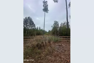00 Fl-71, Blountstown, FL 32424 - Photo 3
