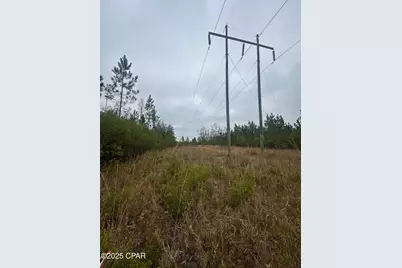 00 Fl-71, Blountstown, FL 32424 - Photo 9