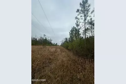 00 Fl-71, Blountstown, FL 32424 - Photo 11