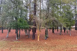 3048 Joyce Dr, Marianna, FL 32446 - Photo 31