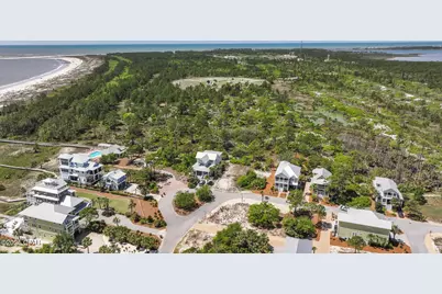 338 Cord Grass Way, Port Saint Joe, FL 32456 - Photo 13