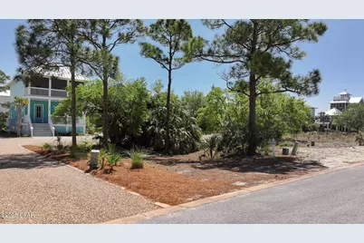 338 Cord Grass Way, Port Saint Joe, FL 32456 - Photo 3