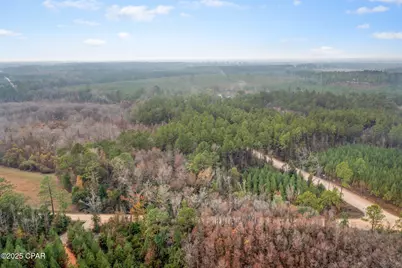 Xxx White Road #1.14 Acres, Chipley, FL 32428 - Photo 7