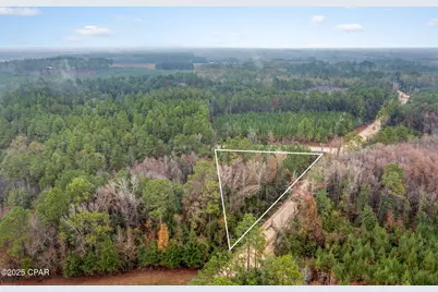 Xxx White Road #1.14 Acres, Chipley, FL 32428 - Photo 5