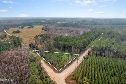 Xxx White Road #1.14 Acres, Chipley, FL 32428 - Photo 1