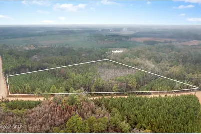 Xxx White Road #12.78 Acres, Chipley, FL 32428 - Photo 5