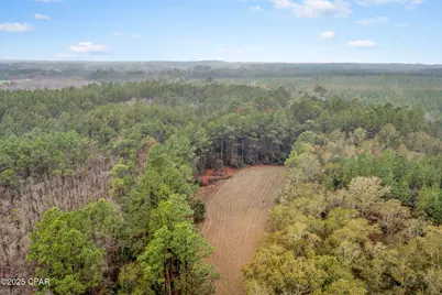 Xxx White Road #12.78 Acres, Chipley, FL 32428 - Photo 13