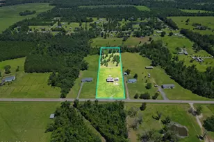 4158 Thompson Rd, Marianna, FL 32448 - Photo 3