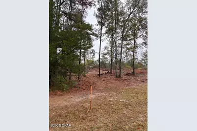 4593 Meadowview Road, Marianna, FL 32446 - Photo 3