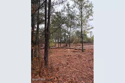 4593 Meadowview Road, Marianna, FL 32446 - Photo 5