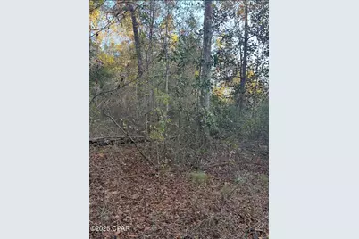 Tbd Highway 90, Marianna, FL 32446 - Photo 3