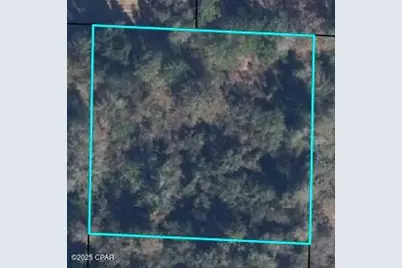 2867 Tarpley Drive, Bonifay, FL 32425 - Photo 3