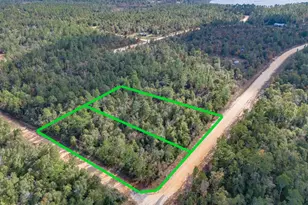 1166 Alene Dr, Alford, FL 32420 - Photo 1