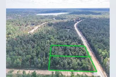 1166 Alene Drive, Alford, FL 32420 - Photo 9