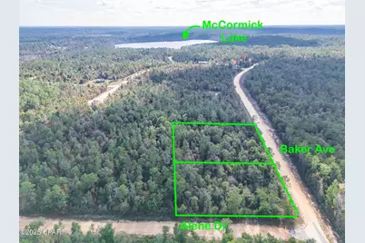 1166 Alene Drive, Alford, FL 32420 - Photo 7