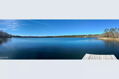 1166 Alene Drive, Alford, FL 32420 - Photo 13