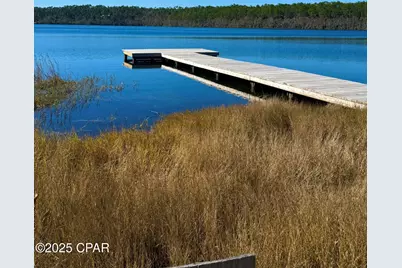 1166 Alene Drive, Alford, FL 32420 - Photo 15