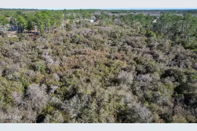 0 Stevens Road, Altha, FL 32421 - Photo 15