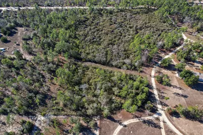 0 Stevens Road, Altha, FL 32421 - Photo 13