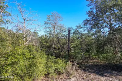 0 Stevens Road, Altha, FL 32421 - Photo 11