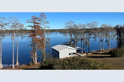 2540 Montyna Lane, Alford, FL 32420 - Photo 3